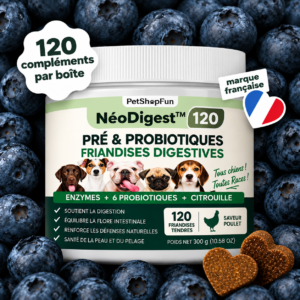 NéoDigest – Complément Digestif Premium — visuel 1